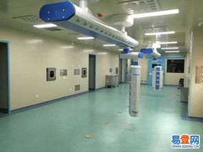 沙田民田易登网装饰工程 打造理想家居的专业选择